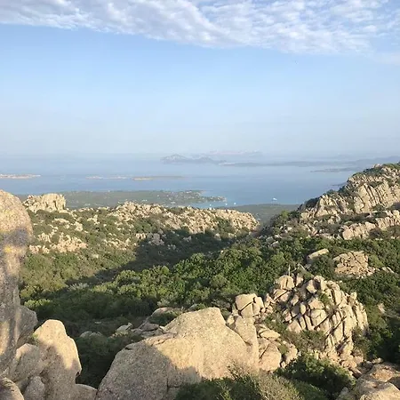 Li Cimi